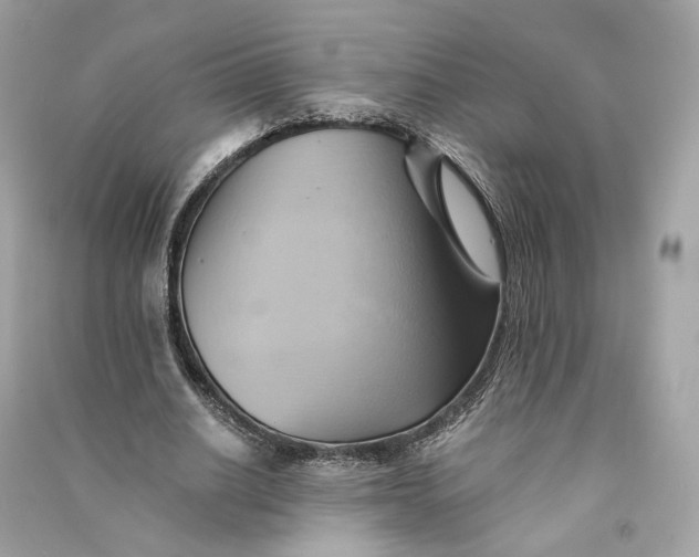 X0000090780630200708101833
