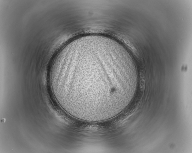 X0000090780631200708101833