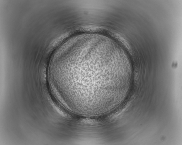 X0000090780633200708101833
