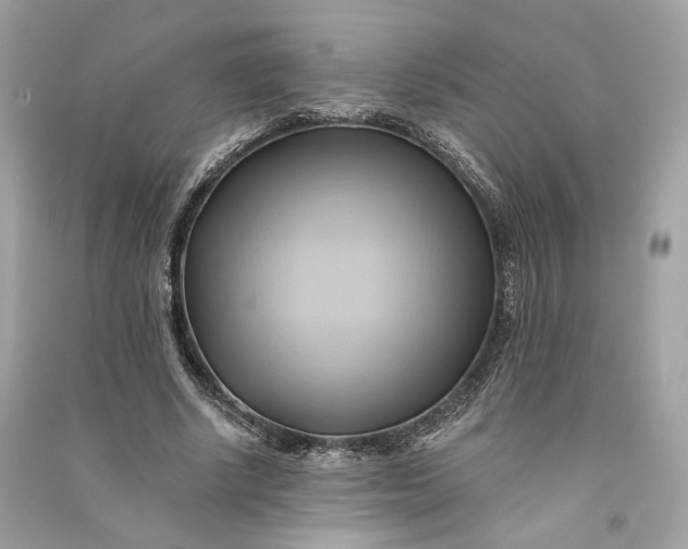 X0000090780634200708101833