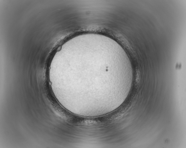 X0000090780636200708101833