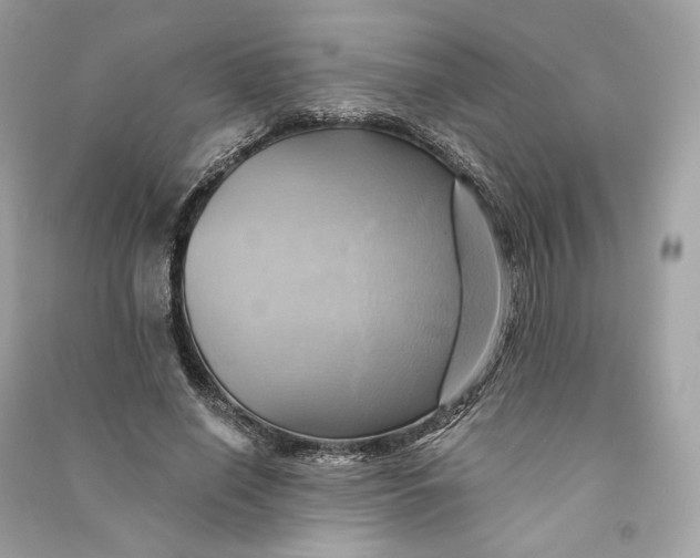 X0000090780638200708101833