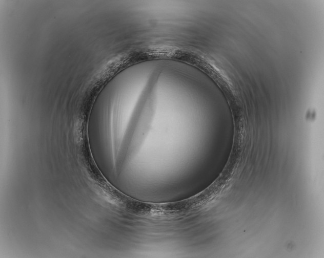 X0000090780641200708101834
