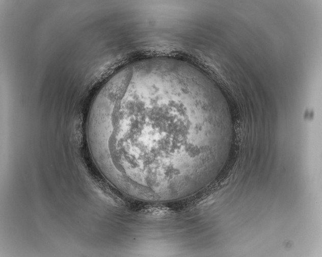 X0000090780642200708101834