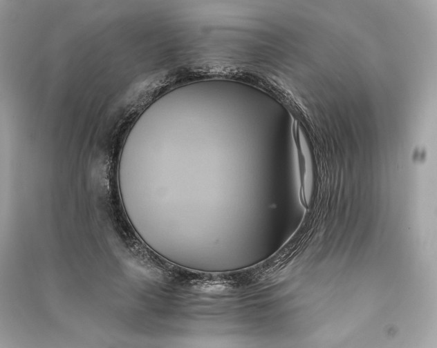 X0000090780643200708101834