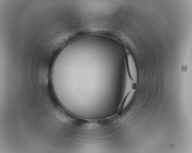 X0000090780644200708101834