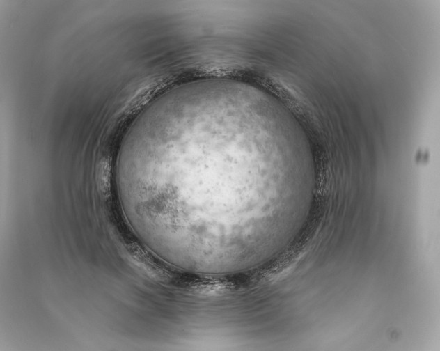 X0000090780646200708101834