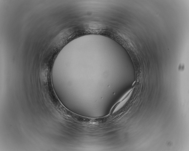 X0000090780647200708101834