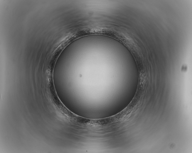 X0000090780648200708101834