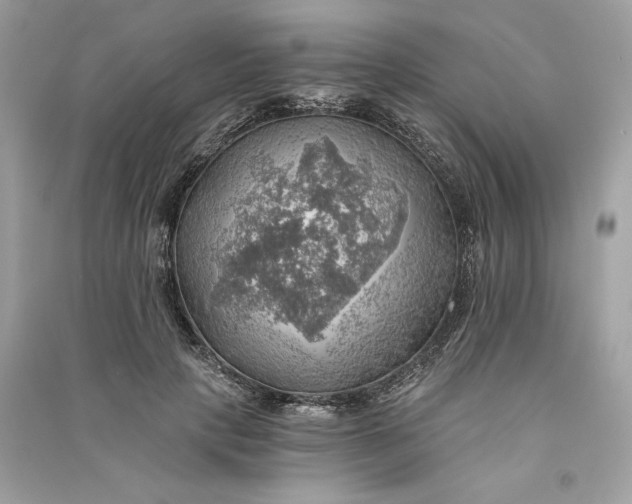 X0000090780649200708101834
