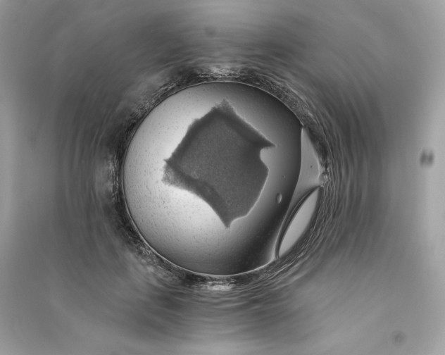 X0000090780651200708101834