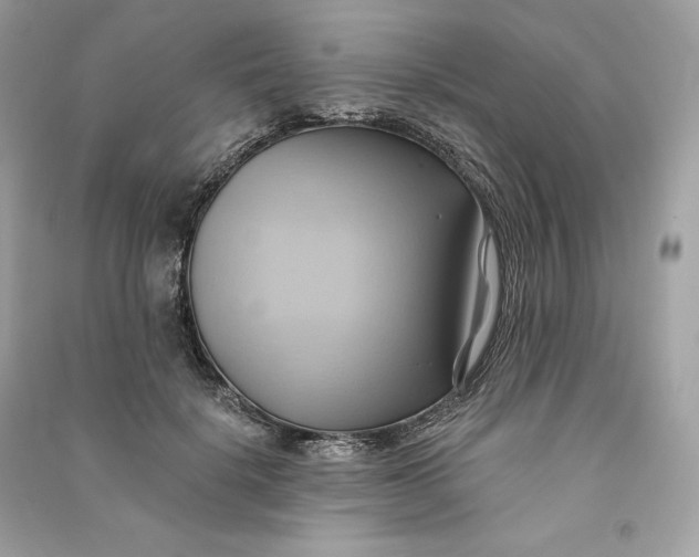 X0000090780652200708101834