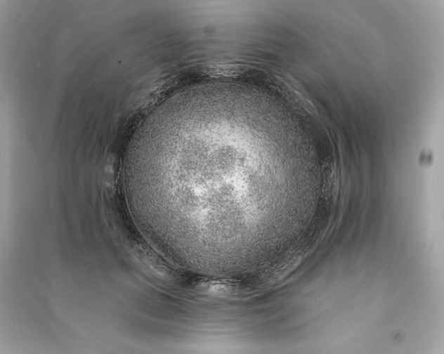 X0000090780655200708101834