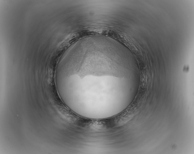 X0000090780656200708101834