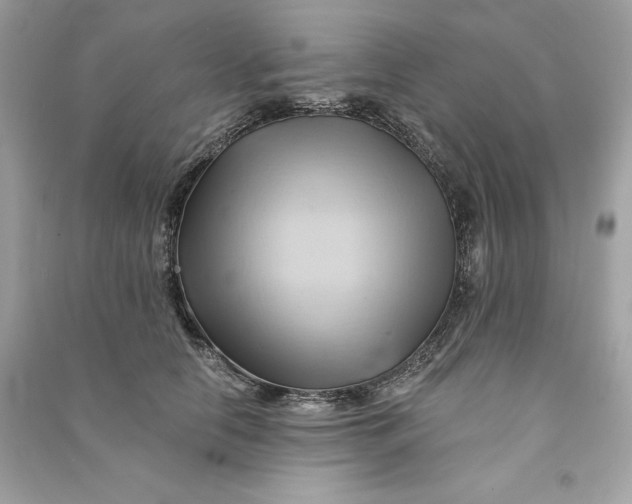 X0000090780658200708101834