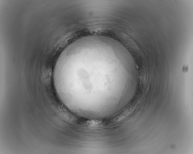 X0000090780660200708101834