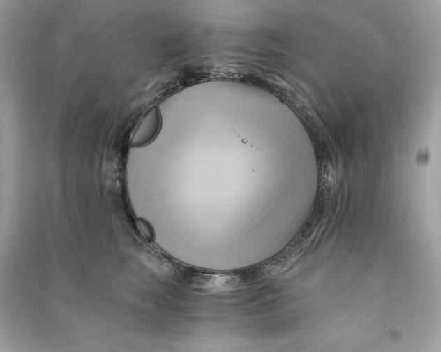 X0000090780663200708101834