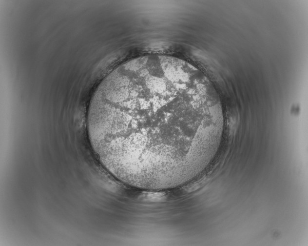X0000090780665200708101834