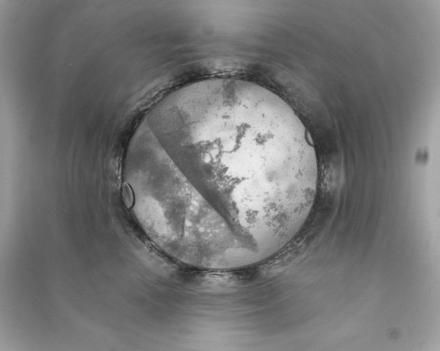 X0000090780666200708101834