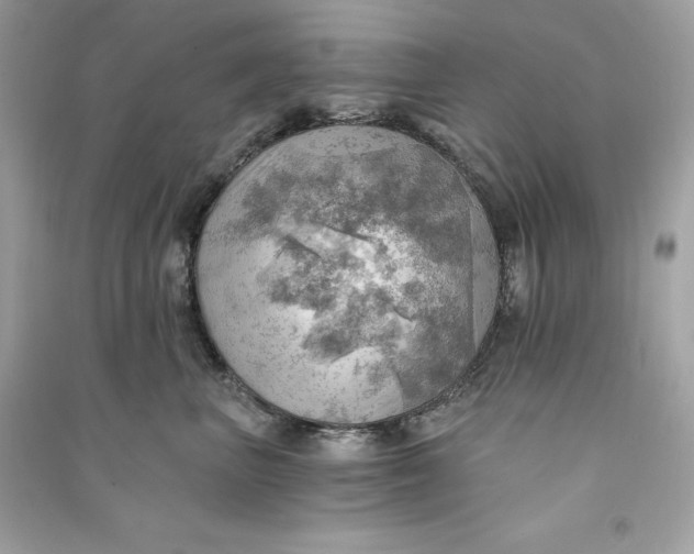 X0000090780667200708101834