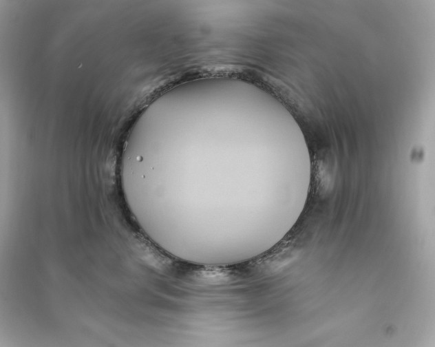 X0000090780668200708101834