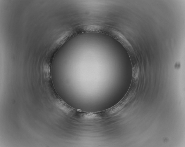 X0000090780669200708101834