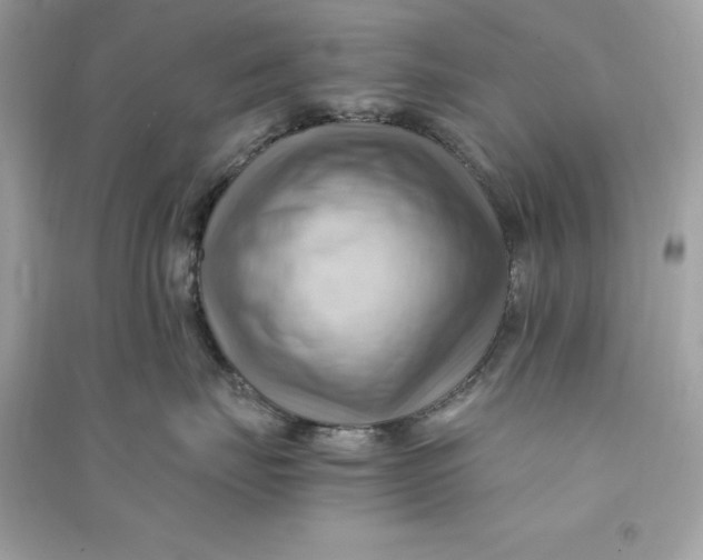 X0000090780671200708101834