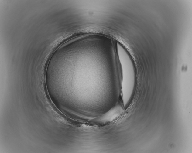 X0000090780673200708101833
