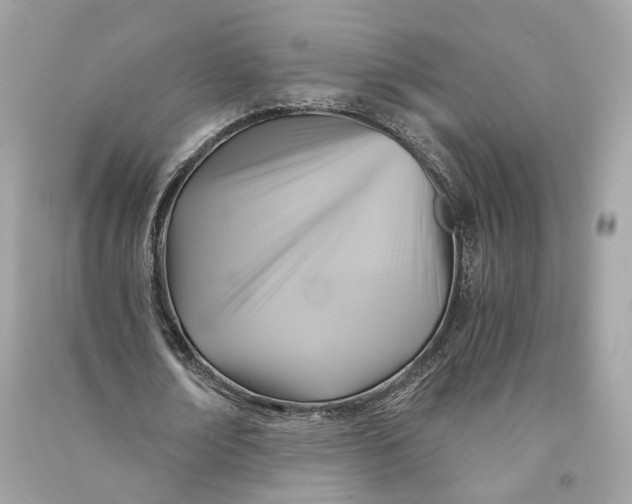 X0000090780674200708101833