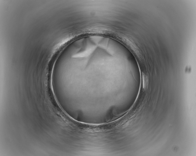 X0000090780675200708101833