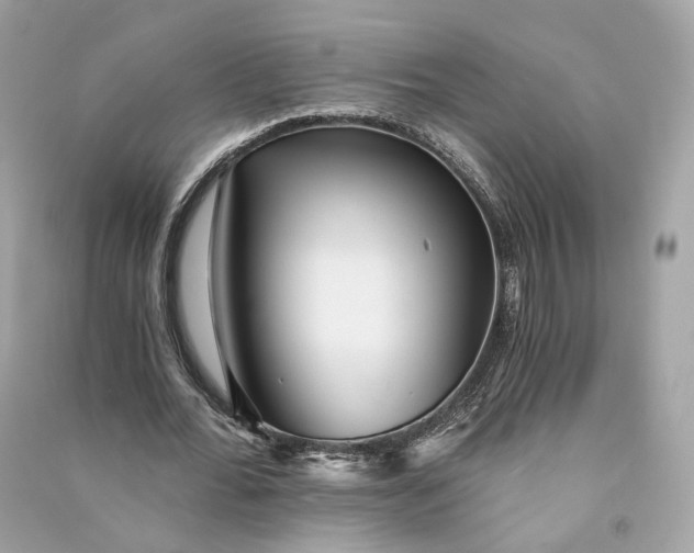 X0000090780676200708101833