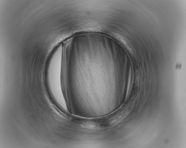 X0000090780677200708101833