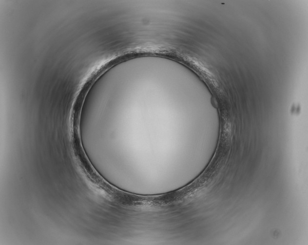 X0000090780678200708101833