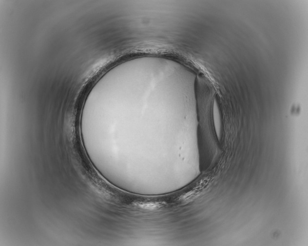 X0000090780679200708101833