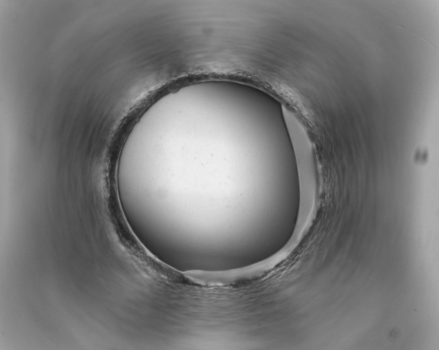 X0000090780680200708101833