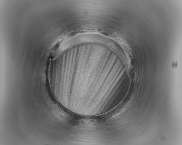 X0000090780681200708101833