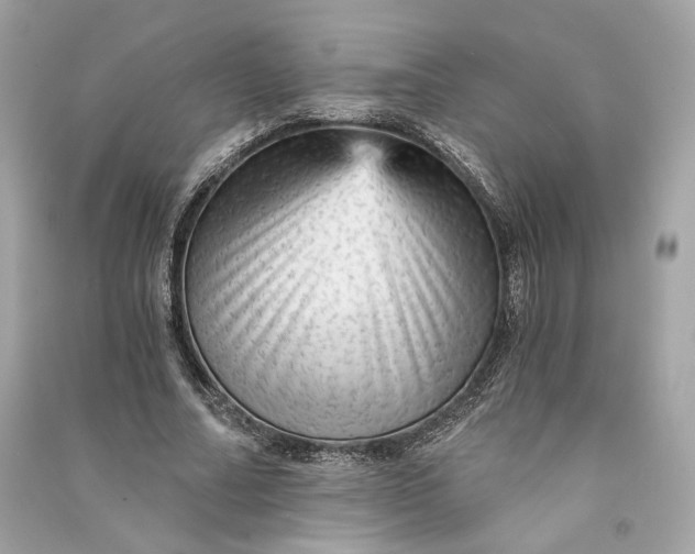 X0000090780682200708101833
