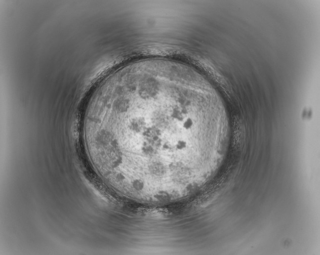 X0000090780683200708101833
