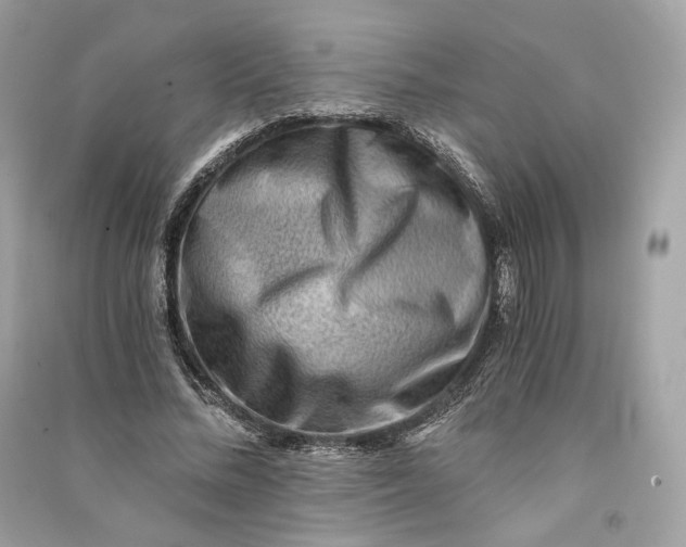 X0000090780684200708101833