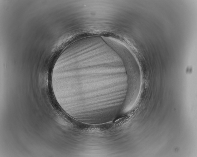 X0000090780685200708101833