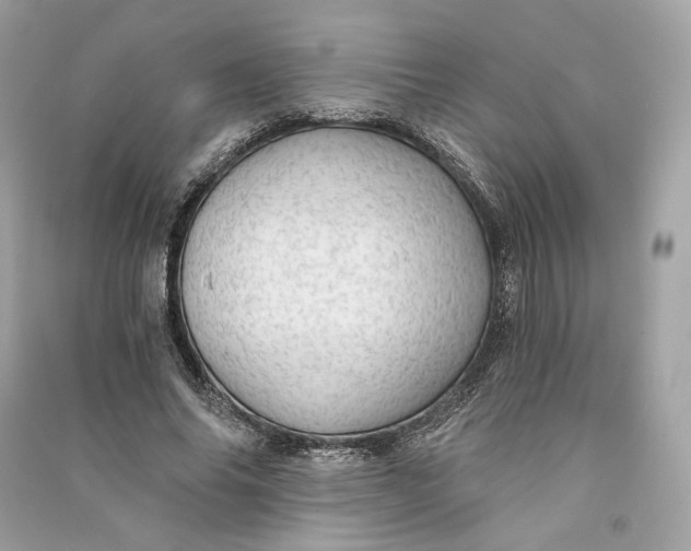 X0000090780686200708101833