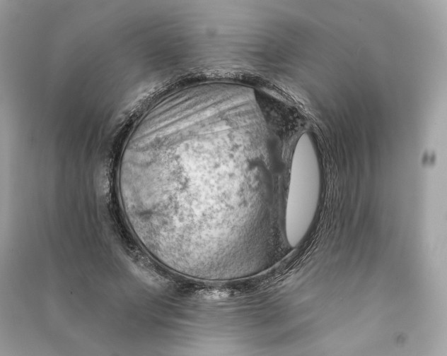X0000090780687200708101833