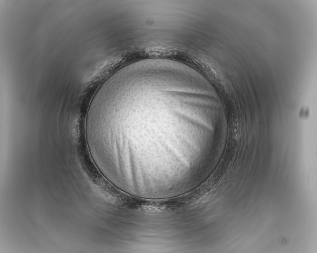 X0000090780690200708101833