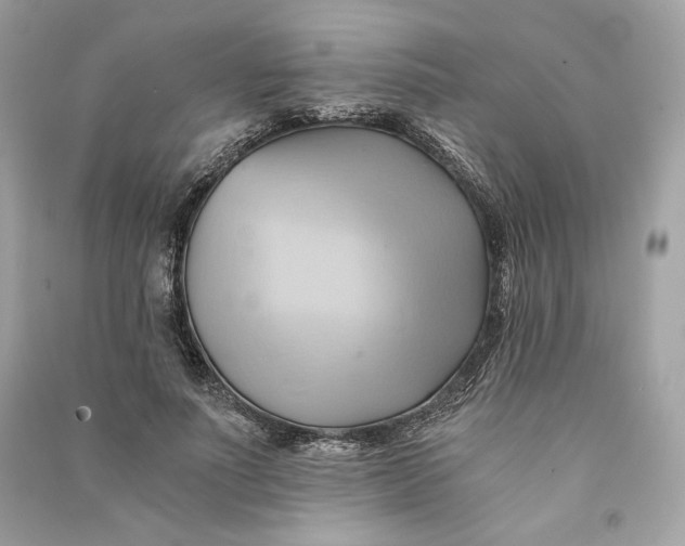 X0000090780691200708101833