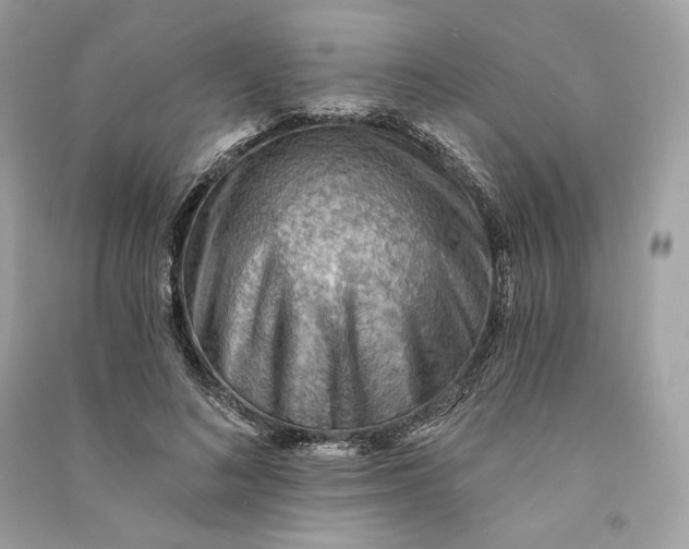 X0000090780692200708101833