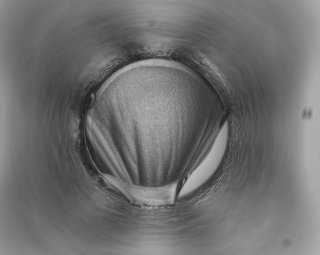 X0000090780693200708101833