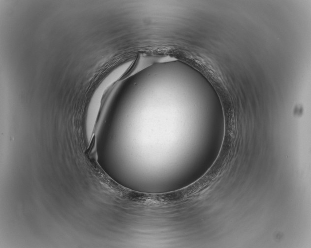 X0000090780697200708101833