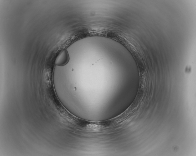 X0000090780699200708101833