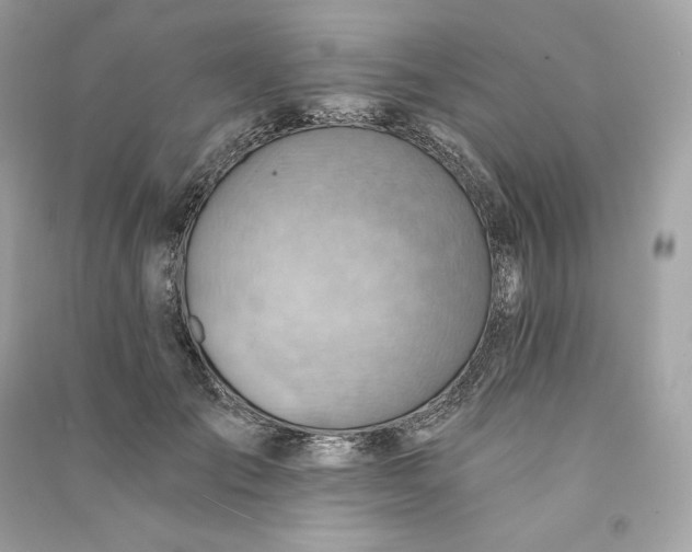 X0000090780701200708101833