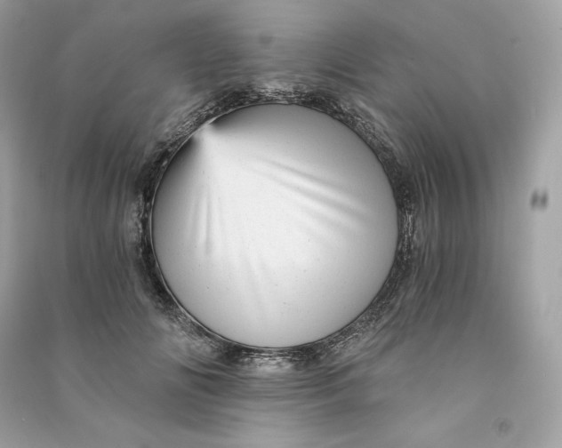 X0000090780702200708101833